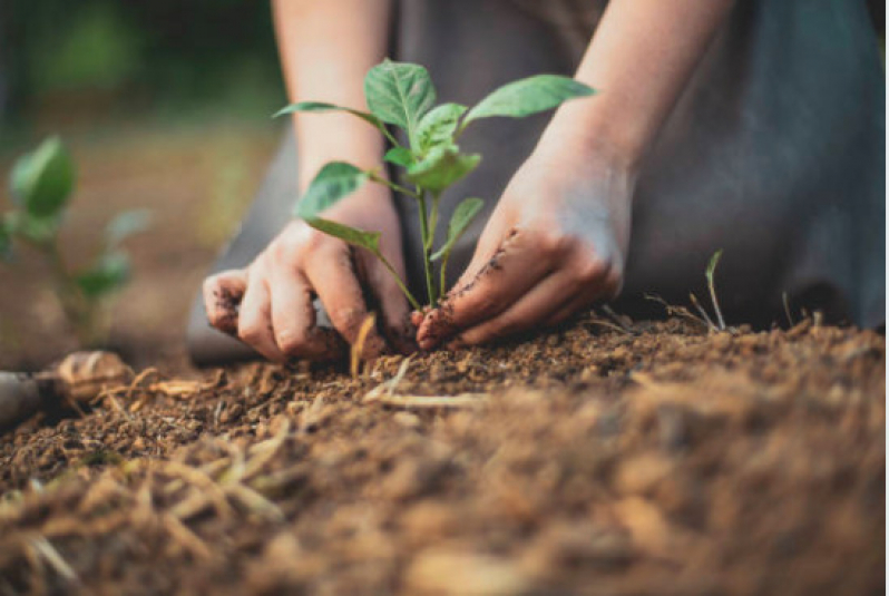 Empresa Especializada em Licença Ambiental Simplificada Jandira - Licença Ambiental para Construção