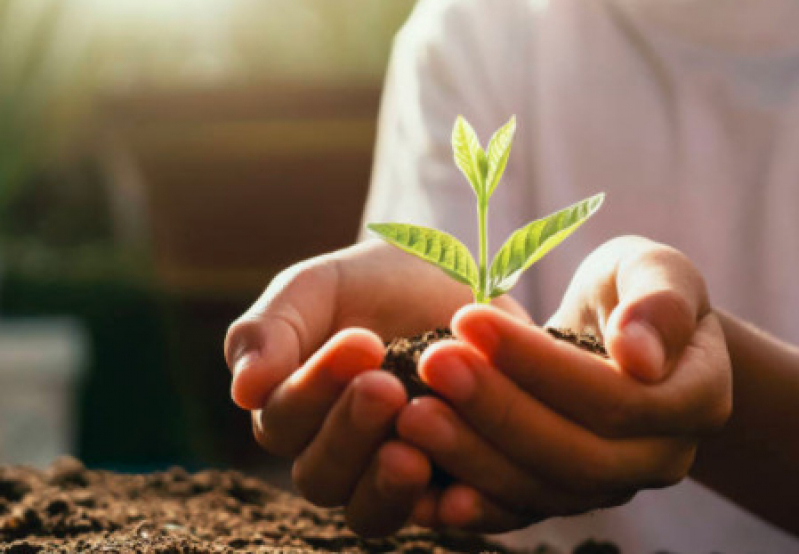 Empresa Especializada em Licença de Operação Ambiental Brasilândia - Licenciamento Ambiental Federal