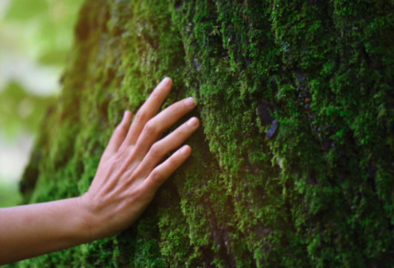 Licença Ambiental para Construção Valor Santana de Parnaíba - Licença de Operação Ambiental