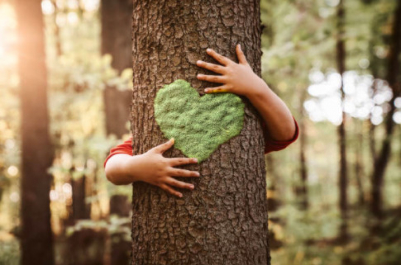 Licença Ambiental Simplificada Valor Jardim América - Licença de Instalação Ambiental