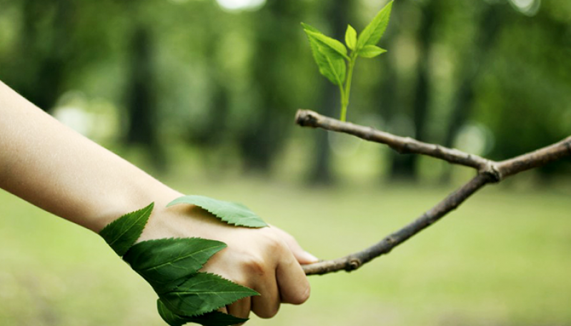 Licenciamentos Servidão Ambiental Preço Itatiba - Licenciamentos Servidão Ambiental