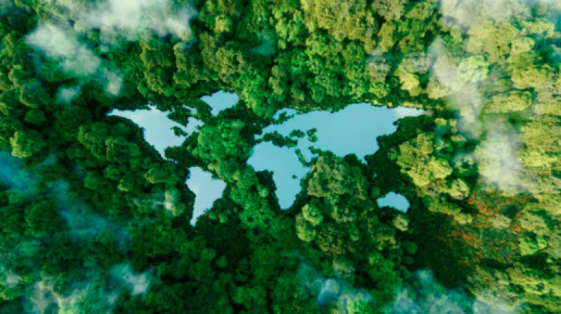 Onde Fazer Licenciamento Ambiental Salesópolis - Licença Ambiental Simplificada
