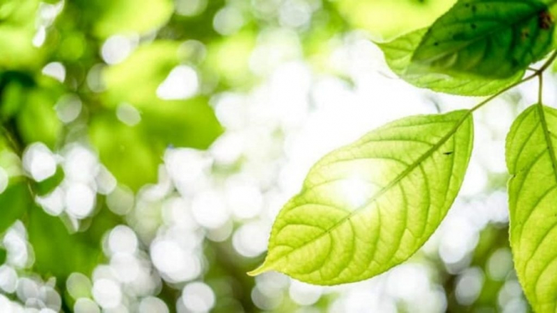 telefone de empresa de licenciamentos ambiental Osasco